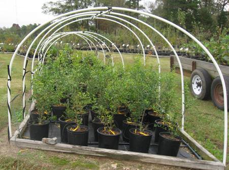 Frame for cover cloth