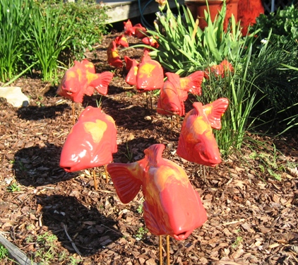 Orange Fish