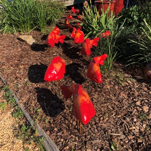 Orange Fish