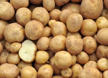 potatoes