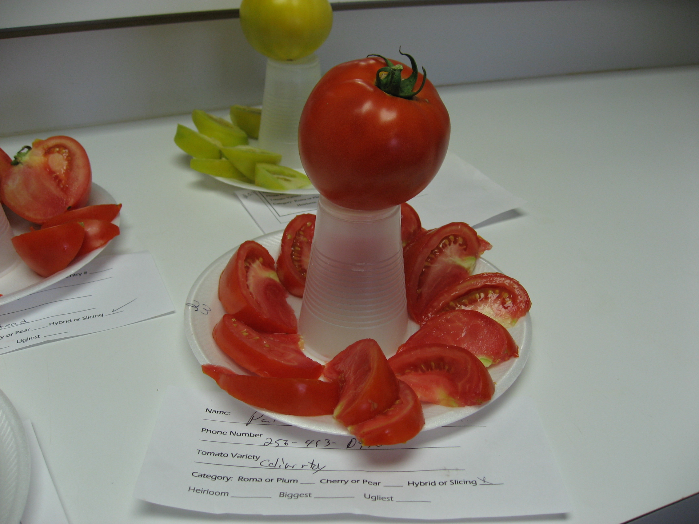 Tomatoes