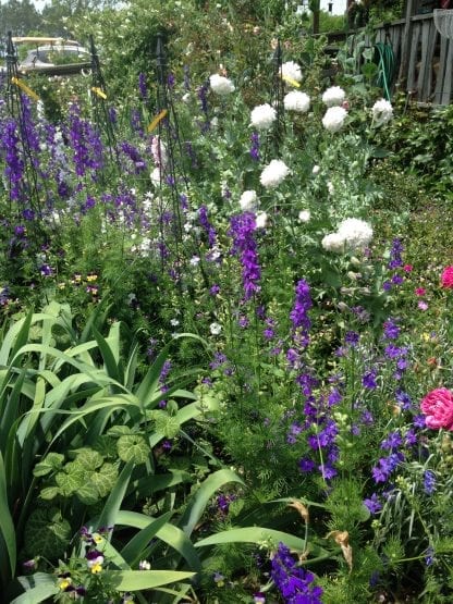 Fall is for Gardening