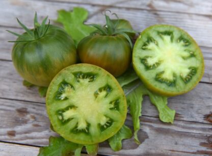 Tomato 'Aunt Ruby's German Green'-0