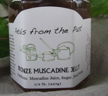 Bronze Muscadine Jelly-0