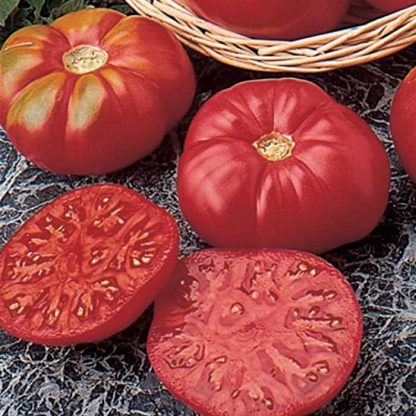 Tomato 'Caspian Pink'-0