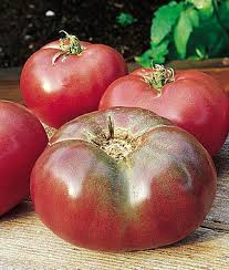Tomato 'Cherokee Purple'-0