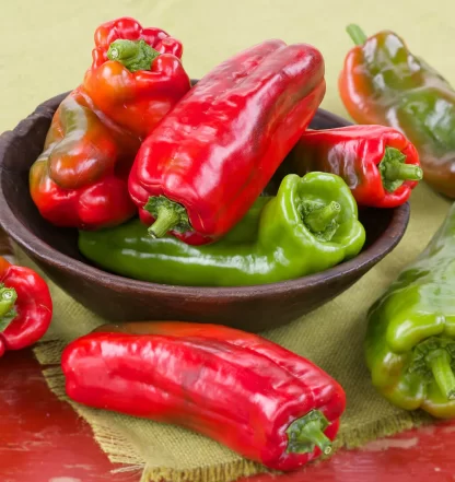 Giant Marconi Pepper