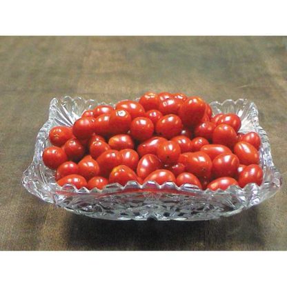Tomato 'Jelly Bean Red'-0