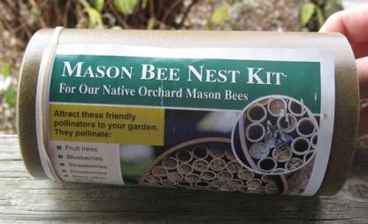 Mason Bee House-0