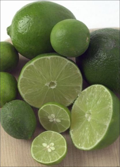 Persian Lime-1288