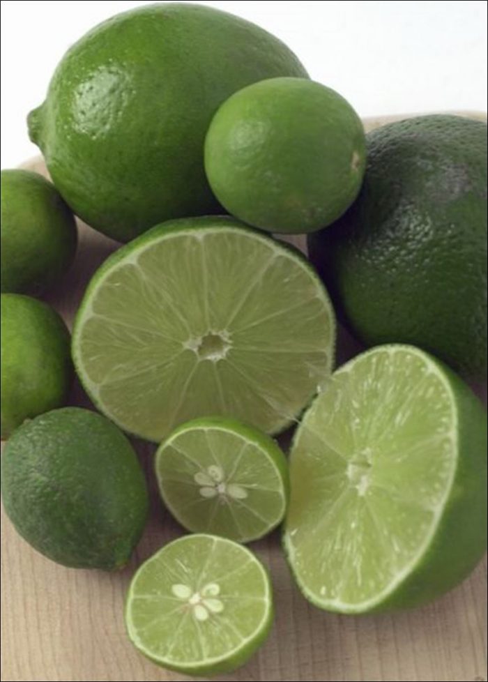 Persian Lime