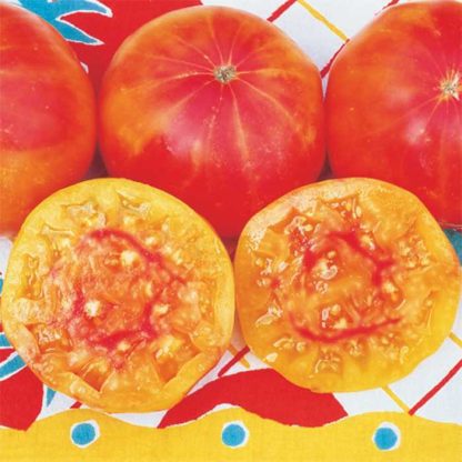 Tomato 'Pineapple'-0