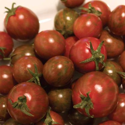 Tomato 'Zebra Cherry'-0
